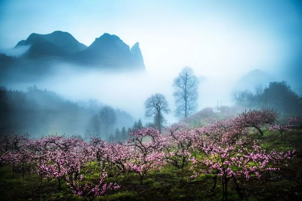 醉美拍点图赏 | 桂林,这座享誉中外的城市,到底有什么值得去?