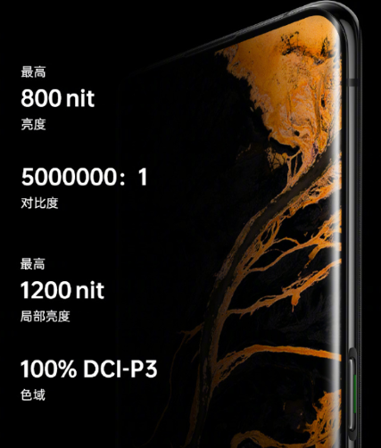 准确率99% OPPO Find X2配备公布