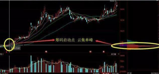 终于有人说出真相了：这才是筹码分布的正确用法，简单又实用