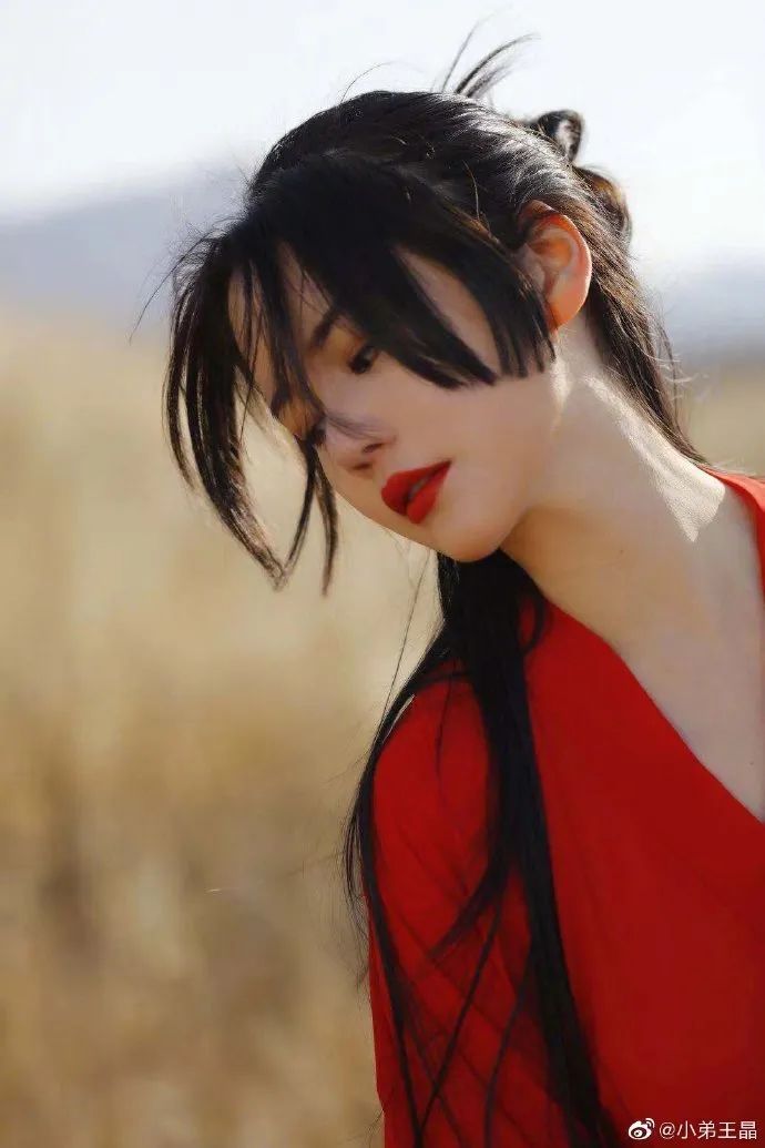 中老年版《倚天屠龙记》？林峯、古天乐、文咏