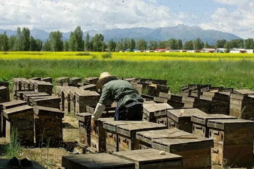 老工业镇振兴新法：找到核心吸引物