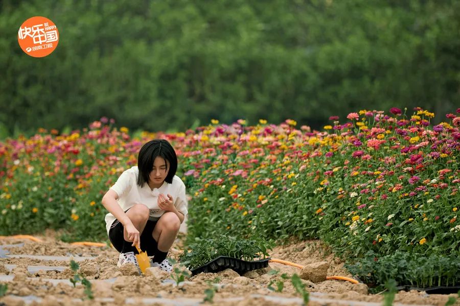 《向往的生活》回归：平凡的每一天都值得向往