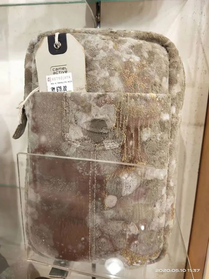 大马封城2个月电影院全场发晒毛！劲核突！！好