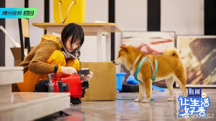 台网综艺独家前瞻｜|大热品类撞题对垒、新品成