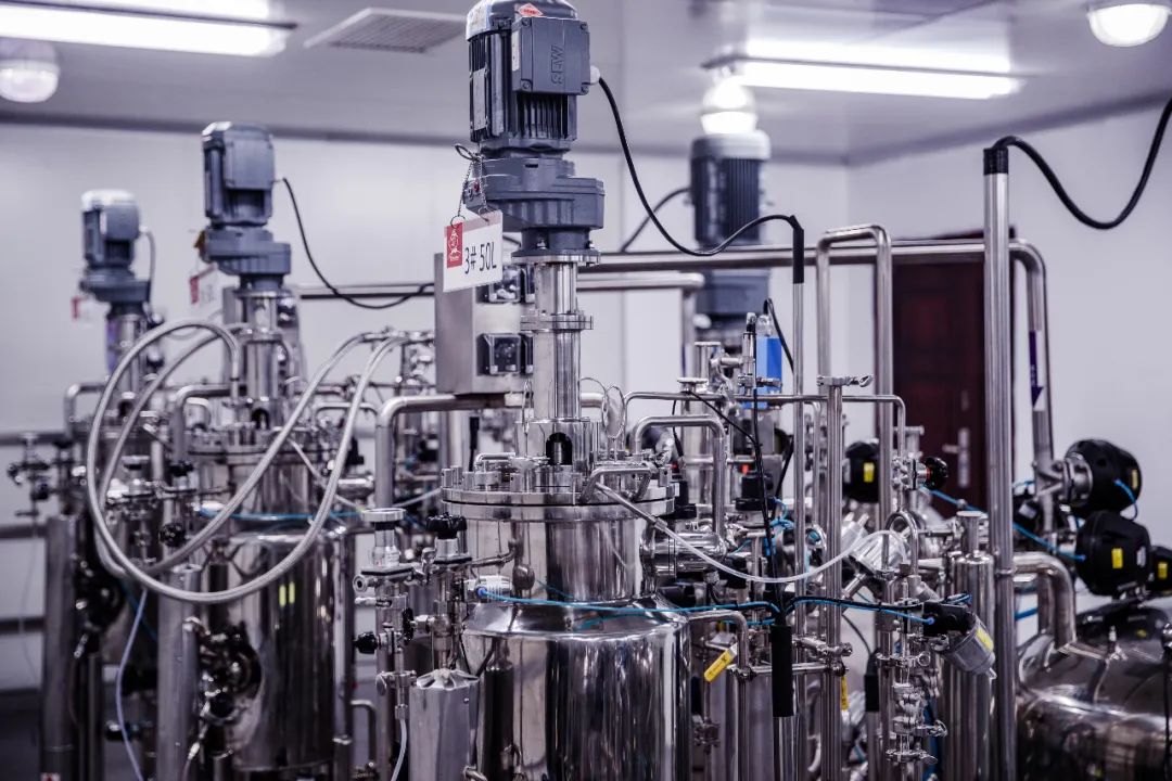 娃哈哈康有利电商平台发布会在杭举行，贴息贷