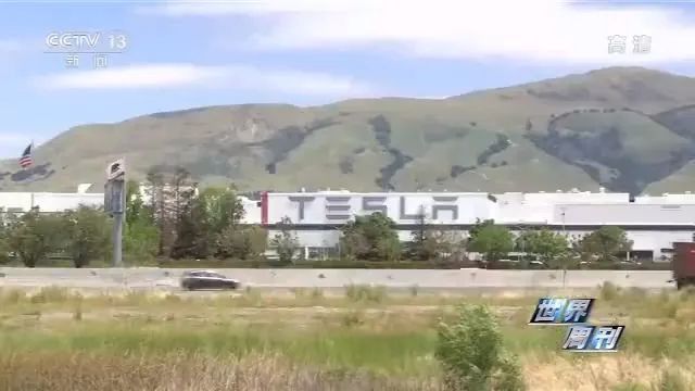 新冠病毒“入侵白宫”美国“重启计划”是否威