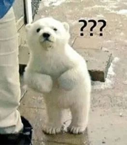 雷佳音到底做错了什么，优衣库要这么对他？