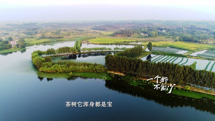 系列微视频“一个都不能少”①｜熊维政 由树生