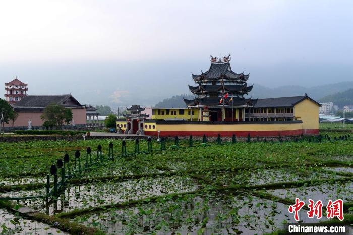 福建古村落乡村旅游焕发新活力 青年返乡逐梦