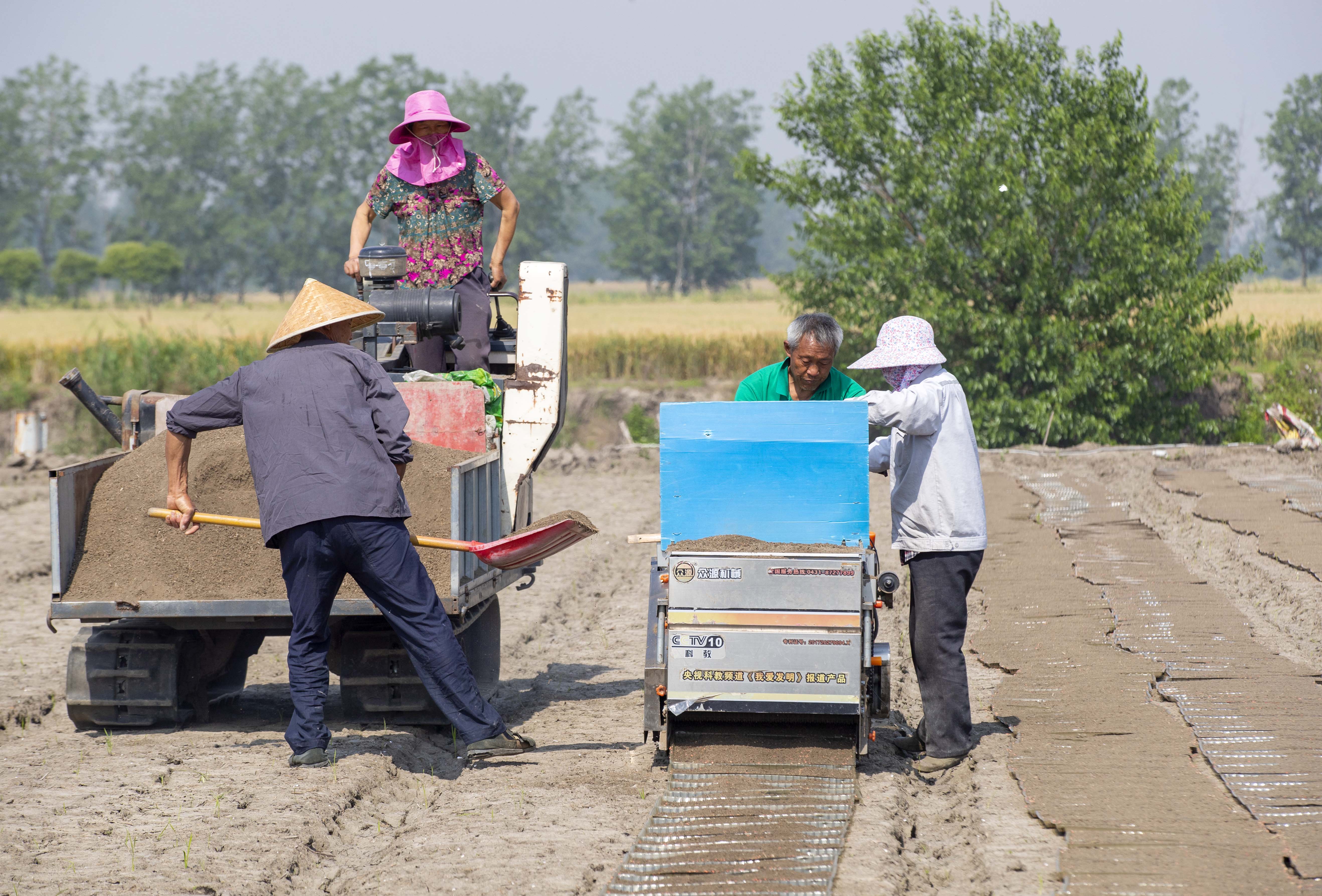 视觉江苏：小满至 泰州农民抓住时令开展农业生