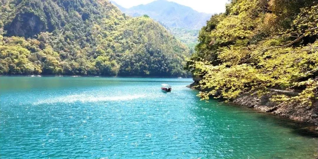 甘肃文县魅力天池文学采风作品选 | 陇上犁：天池：花树的倒影