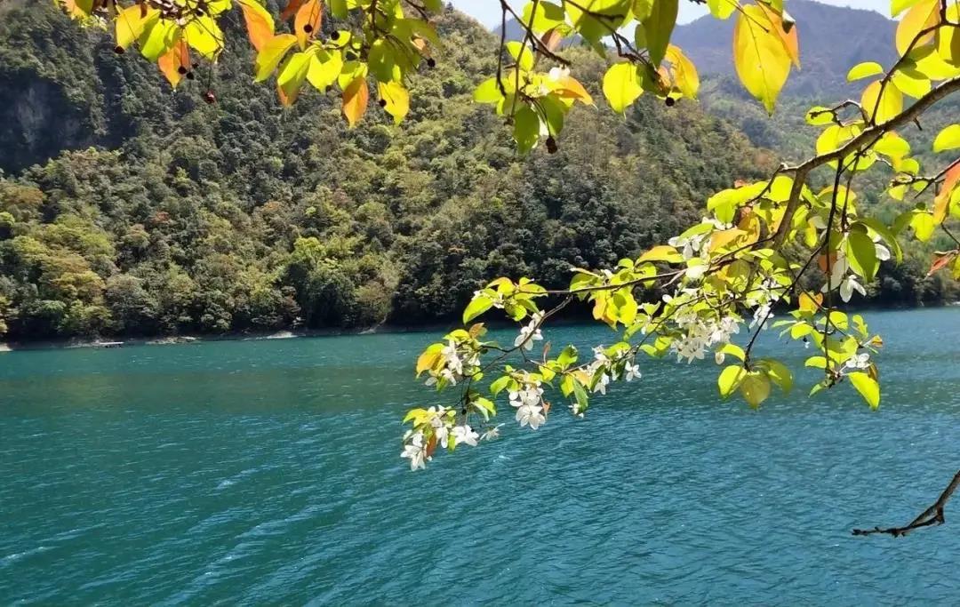 甘肃文县魅力天池文学采风作品选 | 陇上犁：天池：花树的倒影