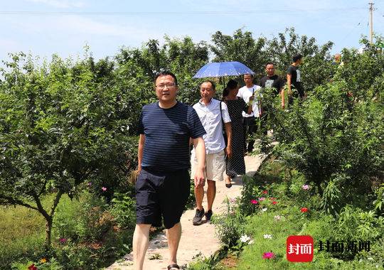 自贡富顺藤椒远销江浙台湾帮助60余农户年增收