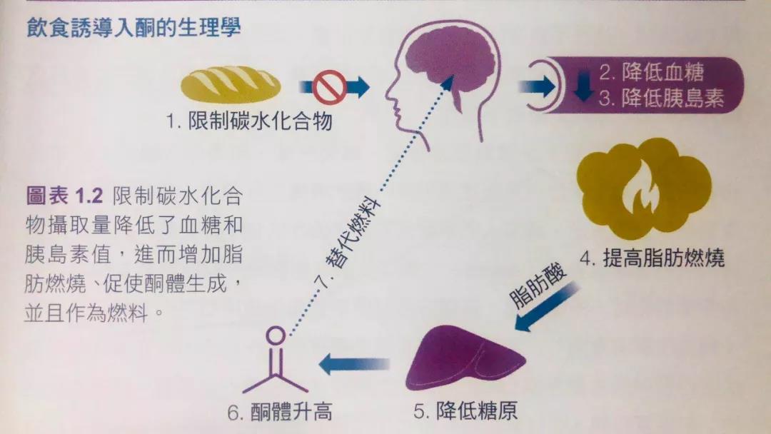 拒絕碳水的生酮飲食市場(chǎng)，存在哪些機(jī)會(huì)？