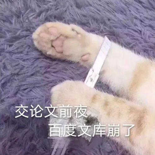 百度文库崩溃半小时：赶论文的网友也集体崩了