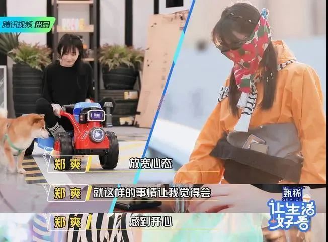 独家观察｜|独居观察类综艺集中上线，三大视频