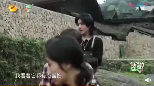 禁止对张艺兴、黄子韬、林更新、朱一龙、邓伦……发出鸡叫