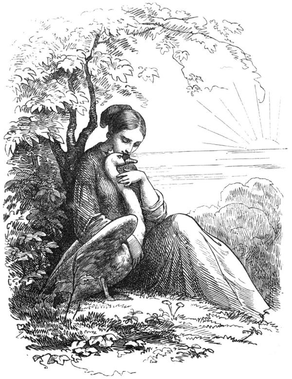 六一儿童节｜俞晓群谈《安徒生童话全集》：呈