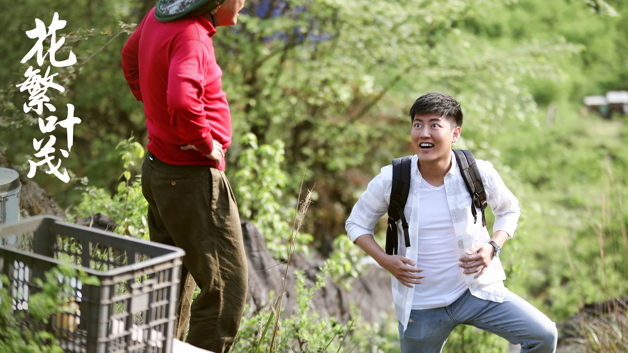 《花繁叶茂》乡村旧貌换新颜 王迅“父子”齐上阵