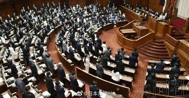 每日视听｜|哔哩哔哩“知识区”上线，《双世宠