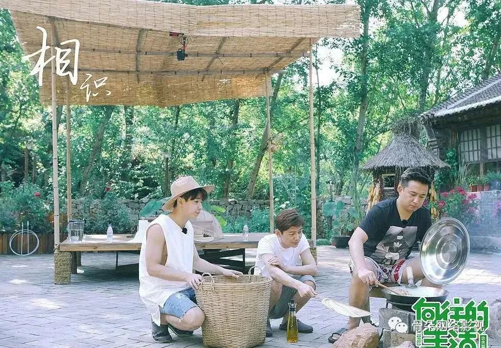 再现影视公司入局综艺潮？道阻且长，多元尝试