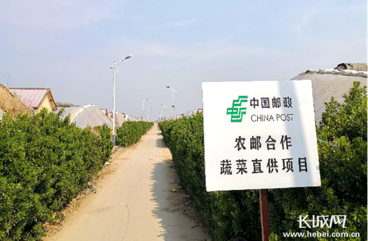 Shijiazhuang is postal: Frame case " green bridge " sale of the produce that help strength