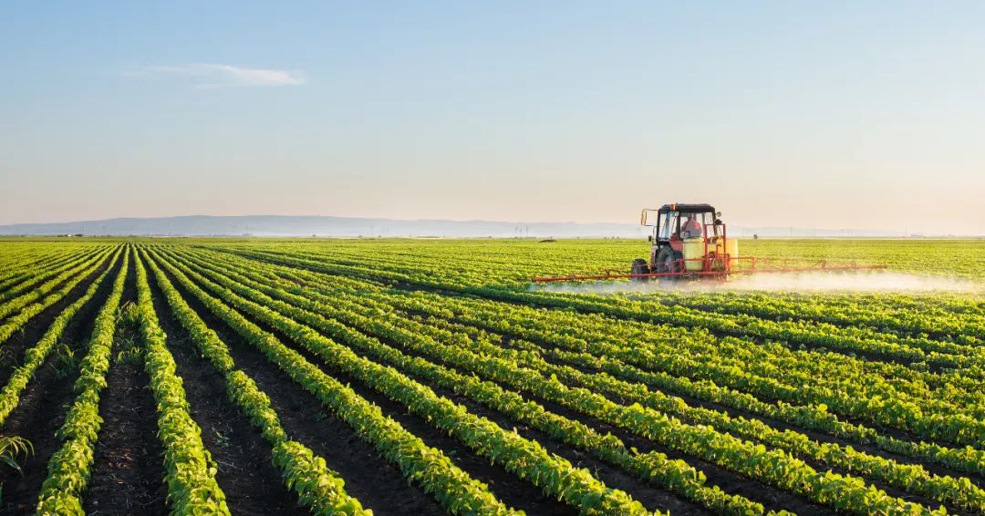 农业生产托管：中国农业发展的重要趋势