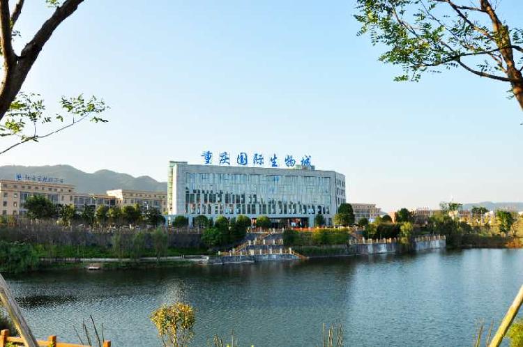 聚焦智慧大健康 重庆国际生物城崛起千亿级生物医药产业集群