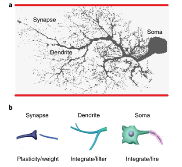 性能大提升！新型 ANN 登上《自然》子刊：清华团