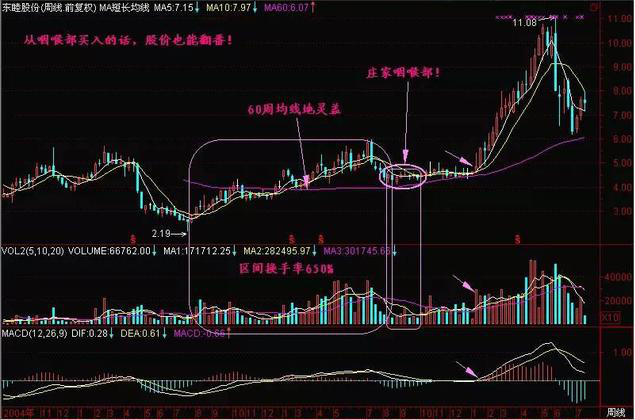 巴菲特点破A股市场：5万小资金想要快速做大，建