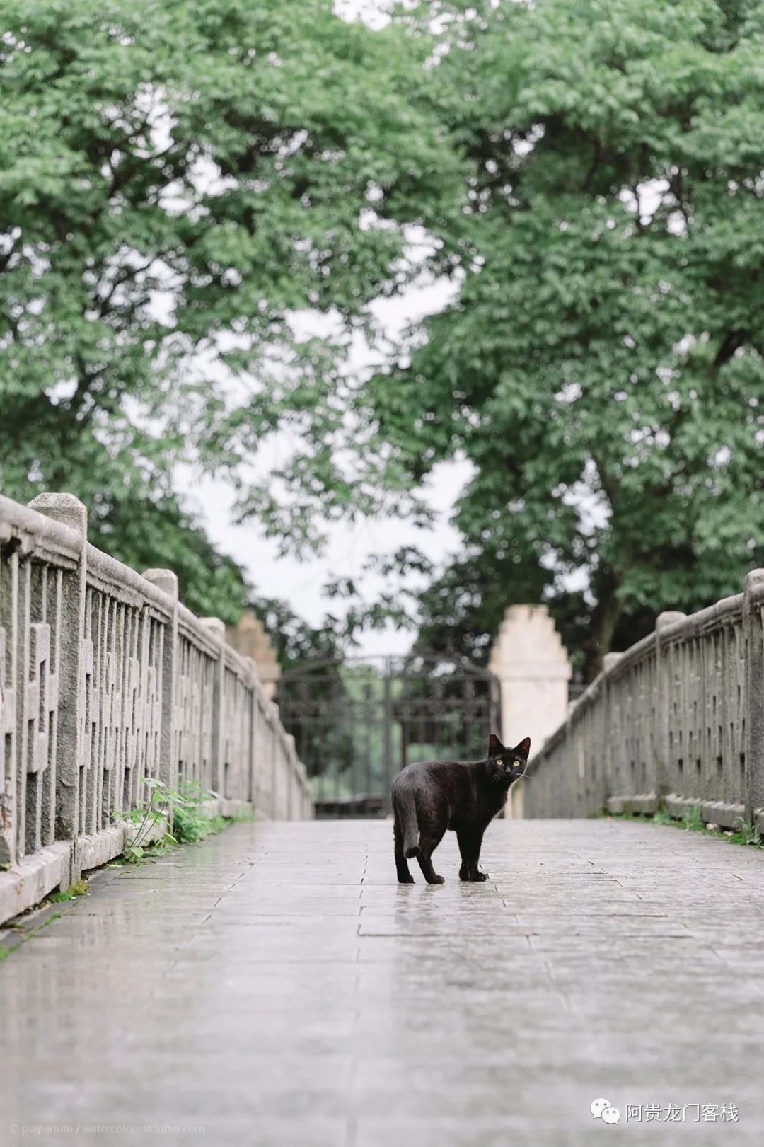 现在最难的事情是什么？