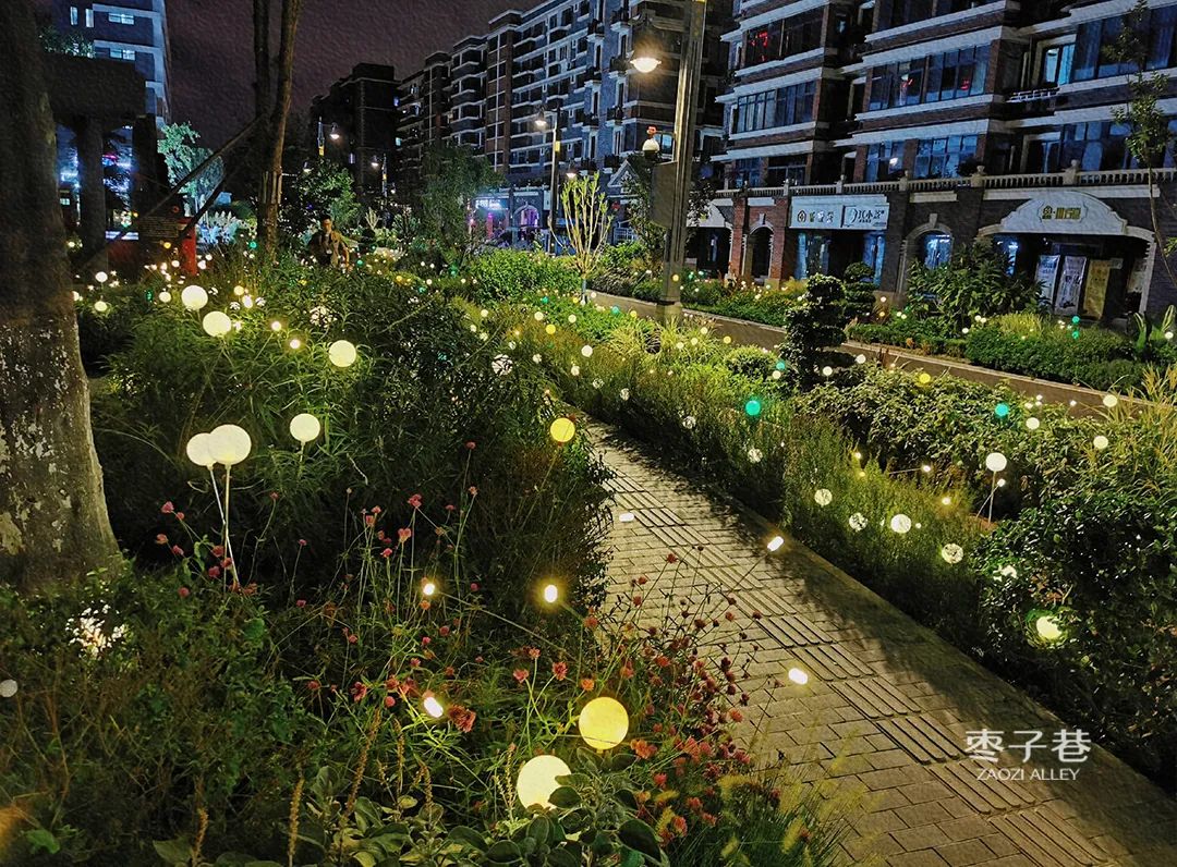 看！“萤火虫”飞来市区啦~