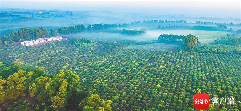 陆侨集团快速推进两大产业板块建设助力海南自