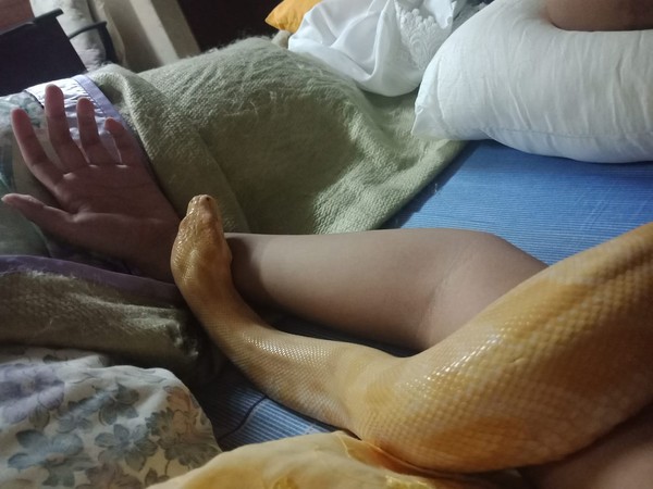 目击无毛宝贝衣服脱到一半　它懒到撒娇求帮忙