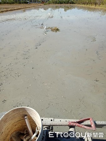 田中间遇“最强钉子户”3颗蛋占地盖屋　他笑笑