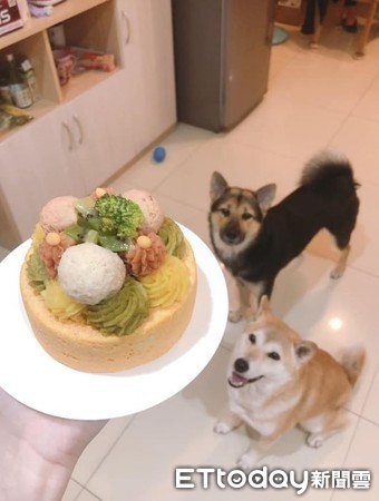 每次吃饭腋下凉凉的！幽灵狗头冒出：一口肉肉