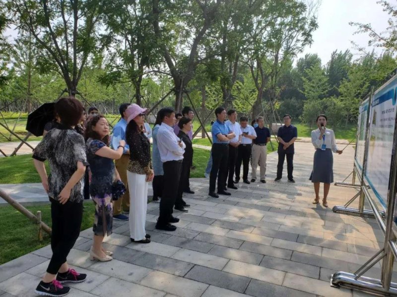 北京一零一中学落户张家口 具体位置位于……
