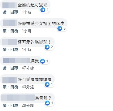 捡到锅炉爷爷的煤炭　黑毛一球萌翻网友！真实身分揭晓