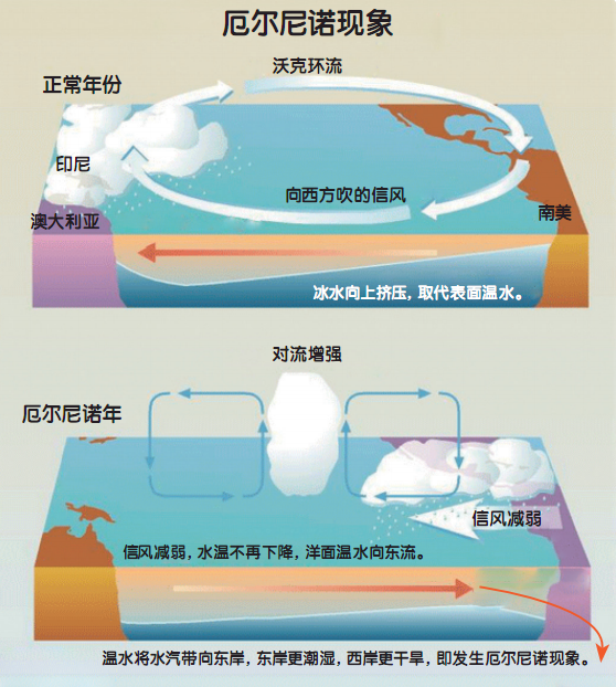 “蝴蝶效应”是否真的存在？