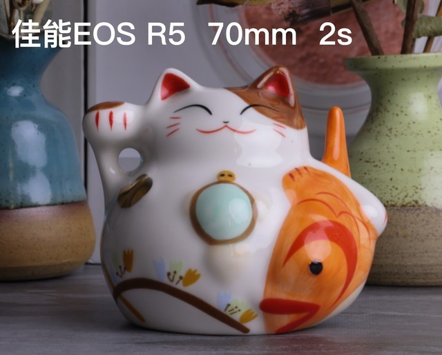 高画质对决 佳能EOS R5和索尼A7R4谁是赢家