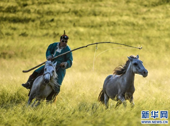 The colorful Inner Mongolia is like a painter overturning the "color palette"