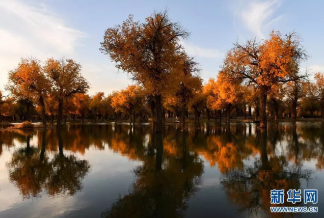 The colorful Inner Mongolia is like a painter overturning the "color palette"