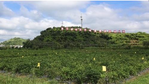 曹德旺为贵州南山婆亲授多年来的商业秘密