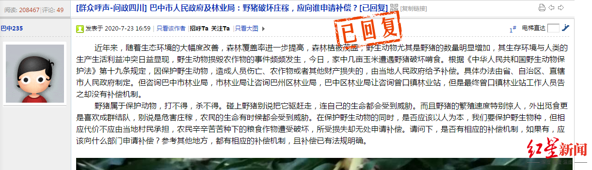 四川巴中山村“野豬成災(zāi)”，村民莊稼受損申請補(bǔ)償遇尷尬 林業(yè)部門：沒費(fèi)用安排