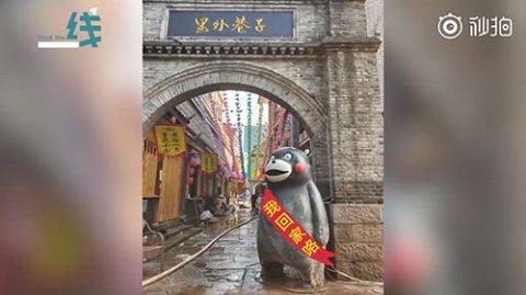 还有|漂流的熊本熊还有一只没回家 请下游的朋友们帮寻找“二熊”