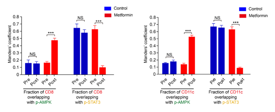 CCR：二甲双胍激活肿瘤免疫微环境！中国科学家发现，低剂量二甲双胍使肿瘤微环境往抗癌方向转变丨临床大发现