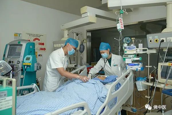 【医师节】肖秋生：让中医药在重症救治中发挥奇效