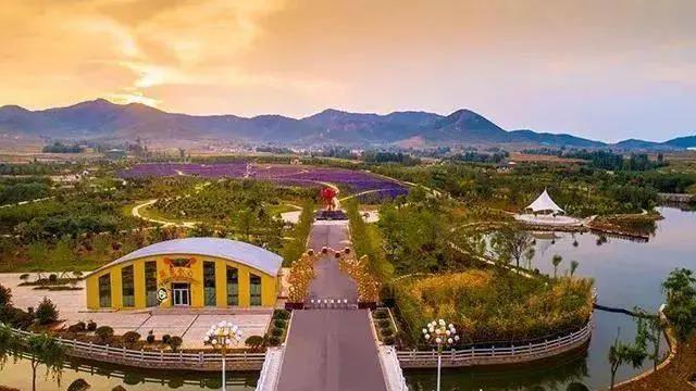嗡嗡乐园中医药健康旅游渐入佳境