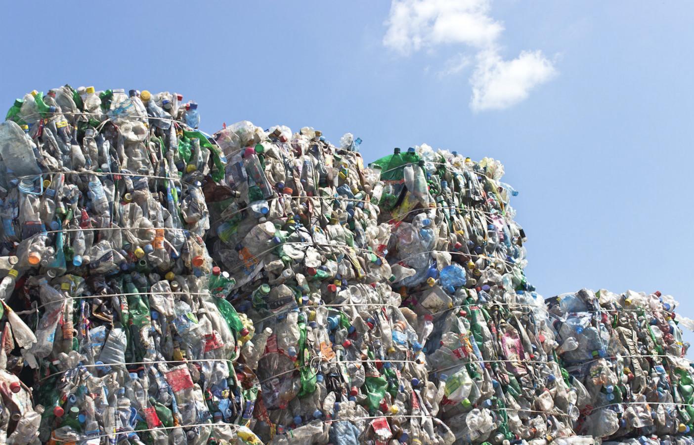 "Ban model to make " photographs of next all living creatures: Have dining room still not know the inside story, 