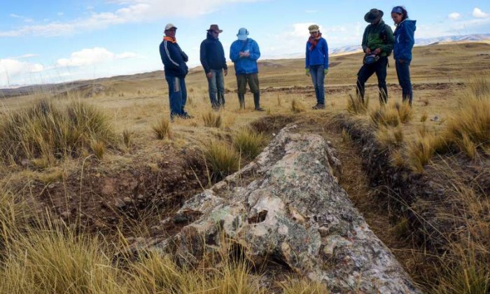 科学家在秘鲁发现树化石，揭示过去1000万年环境变化-第2张图片-IT新视野
